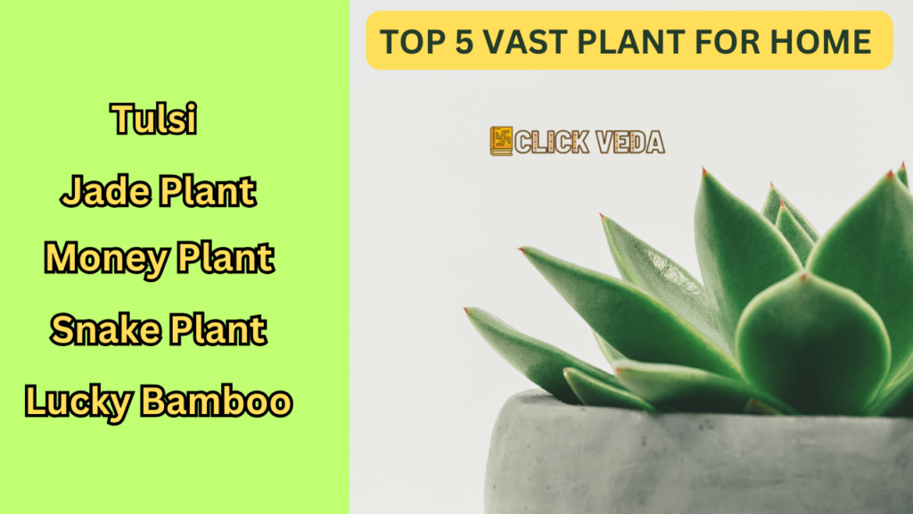 Vastu plants